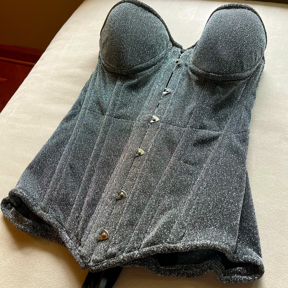 shiny silver corset